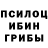 Галлюциногенные грибы мицелий Israel Jaime